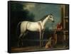 Lord Oxford's "Bloody-Shouldered Arabian" Held by a Groom in Arabian Dress-John Wootton-Framed Stretched Canvas