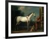 Lord Oxford's "Bloody-Shouldered Arabian" Held by a Groom in Arabian Dress-John Wootton-Framed Giclee Print