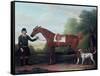 Lord Portman's 'snap' Held by Groom with Dog-James Seymour-Framed Stretched Canvas