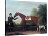 Lord Portman's 'snap' Held by Groom with Dog-James Seymour-Stretched Canvas