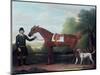 Lord Portman's 'snap' Held by Groom with Dog-James Seymour-Mounted Premium Giclee Print