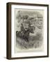 Lord Randolph Churchill in South Africa, Meeting with a Troop of Lions-null-Framed Giclee Print