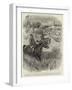 Lord Randolph Churchill in South Africa, Meeting with a Troop of Lions-null-Framed Giclee Print