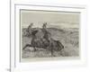 Lord Randolph Churchill in South Africa-null-Framed Giclee Print