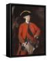 Lord Robert Clive (1725-74) in General Officer's Uniform, C.1764-Thomas Gainsborough-Framed Stretched Canvas