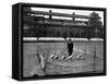 Lord's Cricket Ground as a Goose Farm, 1915-null-Framed Stretched Canvas