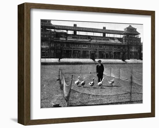 Lord's Cricket Ground as a Goose Farm, 1915-null-Framed Photographic Print