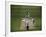 Lord's Cricket Ground, London, England-null-Framed Photographic Print