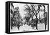 Lord Street, Southport, 1937-null-Framed Stretched Canvas