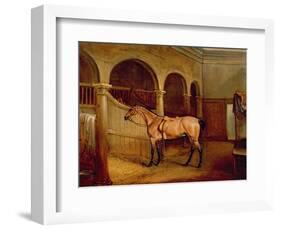 Lord Villiers' Roan Hack in the Stables at Middleton Park, 1834-John E. Ferneley-Framed Giclee Print