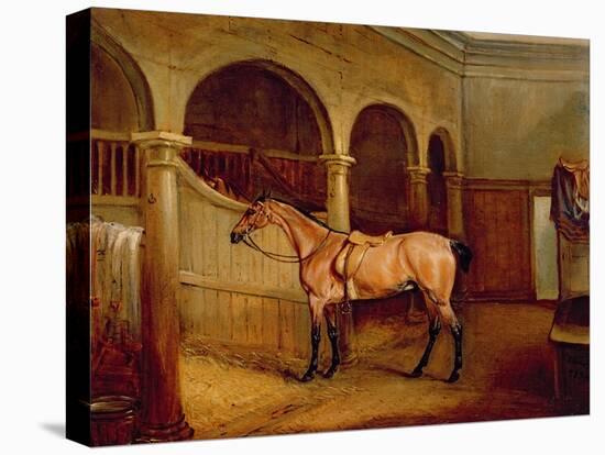 Lord Villiers' Roan Hack in the Stables at Middleton Park, 1834-John E. Ferneley-Stretched Canvas