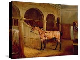 Lord Villiers' Roan Hack in the Stables at Middleton Park, 1834-John E. Ferneley-Stretched Canvas