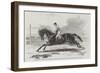 Lord Zetland's Vedette, the Winner of the Two Thousand Guineas Stakes at Newmarket-Harry Hall-Framed Giclee Print