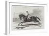 Lord Zetland's Vedette, the Winner of the Two Thousand Guineas Stakes at Newmarket-Harry Hall-Framed Giclee Print