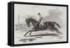 Lord Zetland's Vedette, the Winner of the Two Thousand Guineas Stakes at Newmarket-Harry Hall-Framed Stretched Canvas