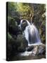 Lordor Cascade, Borrowdale, Lake District, Cumbria, England, United Kingdom, Europe-Nigel Blythe-Stretched Canvas