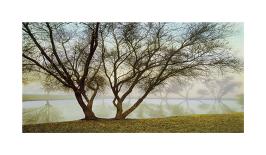 Bay Morning Stillness-Loren Soderberg-Giclee Print