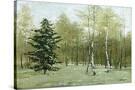 Stretched Canvas