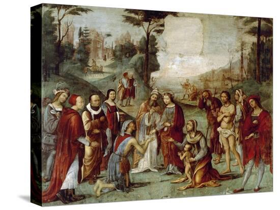 Stretched Canvas Print, , large
