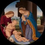 Madonna Adoring the Child with the Infant Saint John the Baptist and an Angel, c.1492-Lorenzo di Credi-Giclee Print