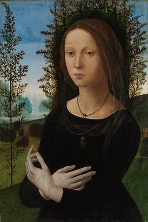 Portrait of a Young Woman, c.1475-80