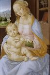 The Virgin and Child, 15th-16th Century-Lorenzo di Credi-Giclee Print