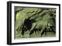 Black Frame