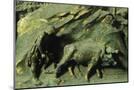 Wood Mount