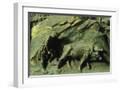 White Frame
