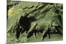 Wood Mount