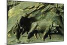 Wood Mount