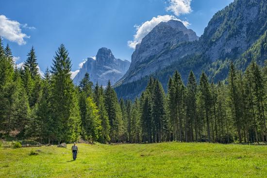 Premium Photographic Print, , large