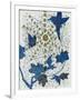 Gramercy White