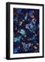Black Frame