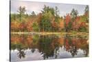 Stretched Canvas