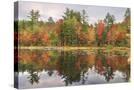 Stretched Canvas