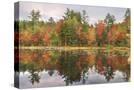 Stretched Canvas