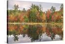 Stretched Canvas