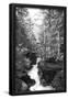 Essential Black