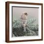 Brown Frame
