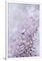 Gramercy White