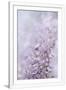 Gramercy White