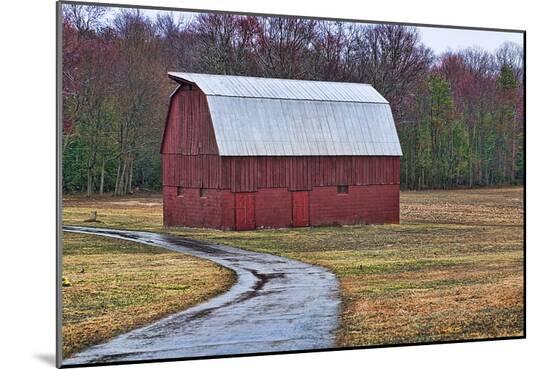 Photographic Print, , large