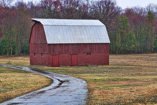 Premium Photographic Print, , large