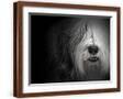 Brown Frame