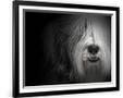 Gramercy Black