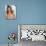 Lori Loughlin-null-Photo displayed on a wall