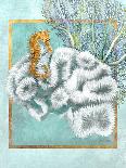 Scallop Shell and Coral-Lori Schory-Art Print