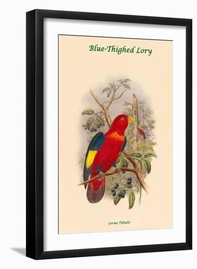 Lorius Tibialis - Blue-Thighed Lory-John Gould-Framed Art Print