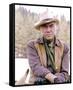 Lorne Greene, Bonanza (1959)-null-Framed Stretched Canvas